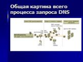 Общая картина всего процесса запроса DNS