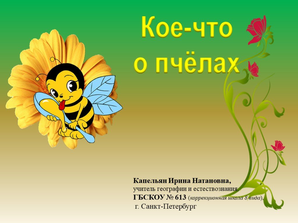 Пчелы для дошкольников. Пчелы презентация для детей. Пчела для детей. Пчела для дошкольников. Презентация пчелы для дошкольников.