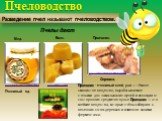 Пчеловодство. Разведение пчел называют пчеловодством. Мед. Воск. http://www.rid.su/frontpage?page=5. http://beefd.ru/vosk Прополис. http://nyam-nyam.org/interesno/propolis. Справка. Прополис - пчелиный клей, уза — тёмное смолистое вещество, вырабатываемое пчелами для замазывания щелей и изоляции от 
