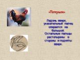 «Петушок» Ладонь вверх, указательный палец опирается на большой. Остальные пальцы растопырены в стороны и подняты вверх.