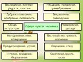 Сфера чувств человека. Беспокойство, тревога, волнение. Негодование, гнев, возмущение. Смущение, стыд. Предупреждение, угроза. Интерес, внимание, безразличие. Огорчение, грусть, тоска. Восхищение, восторг, радость, счастье. Раздражение, досада. Добрые пожелания, одобрение, любезность. Насмешка, през