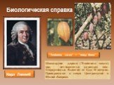 Биологическая справка. Карл Линней. "Teobroma cacao" — "пища богов". Шоколадное дерево (Theobroma cacao), вид вечнозеленых деревьев сем. Стеркулиевых. Высотой от 4 до 10 метров. Произрастают в лесах Центральной и Южной Америки.