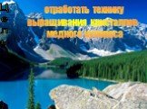 Цель. отработать технику выращивания кристаллов медного купороса