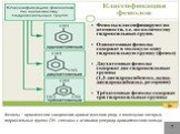 Фенолы – органические соединения ароматического ряда, в молекулах которых гидроксильные группы ОН- связаны с атомами углерода ароматического кольца