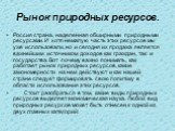 Рынок природных ресурсов. Россия страна, наделенная обширными природными ресурсами. И хотя немалую часть этих ресурсов мы уже использовали, но и сегодня их продажа является важнейшим источником доходов как граждан, так и государства. Вот почему важно понимать, как работает рынок природных ресурсов, 