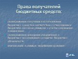 Права получателей бюджетных средств: своевременное получение и использование бюджетных средств в соответствии с утвержденным бюджетной росписью размером с учетом сокращения и индексации; своевременное доведение уведомлений о бюджетных ассигнованиях и лимитах бюджетных обязательств; компенсацию в раз