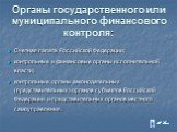 Органы государственного или муниципального финансового контроля: Счетная палата Российской Федерации; контрольные и финансовые органы исполнительной власти; контрольные органы законодательных (представительных) органов субъектов Российской Федерации и представительных органов местного самоуправления