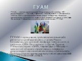 ГУУАМ — организация, противопоставляющая себя региональным объединениям с участием России. Создавалась при активной поддержке «внешних сил», в частности, США. Ее участники — Грузия, Украина, Узбекистан(вышел в 2005), Азербайджан и Молдова — заявляют об общности стратегических интересов и координирую