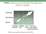 OPM3 (Organizational Project Management Maturity Model). Общая структура базы лучших практик OPM3
