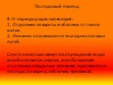 Последовый период. В III периоде родов происходит: 1. Отделение плаценты и оболочек от стенок матки. 2. Изгнание отслоившегося последа из половых путей. Спустя несколько минут после рождения плода возобновляются схватки, способствующие отслоению плаценты и изгнанию отделившегося последа (плацента, о