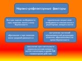 быстрое падение возбудимости коры головного мозга в конце беременности. параллельное возрастание возбудимости спинного мозга и рецепторного аппарата матки. повышение чувствительности нервно-мышечного аппарата матки к окситоцину и другим БАВ тономоторного действия. образование в коре головного мозга 