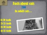 In adult cats… Facts about cats 200 2) 25 teeth 3) 30 teeth 1) 20 teeth 4) 35 teeth
