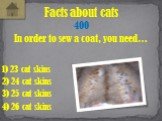In order to sew a coat, you need…. Facts about cats 400 1) 23 cat skins 2) 24 cat skins 3) 25 cat skins 4) 26 cat skins