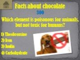 Which element is poisonous for animals, but not toxic for humans? Facts about chocolate 300 2) Iron 1) Theobromine 3) Inulin 4) Carbohydrate