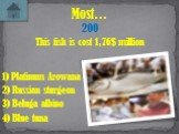 This fish is cost 1,76$ million Most… 200 1) Platinum Arowana 4) Blue tuna 2) Russian sturgeon 3) Beluga albino