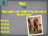 When spider crab weight 19 kg, the scale of the feet equal. Most… 800 1) 3.5 m 2) 3.8 m 4) 4.4 m 3) 4.1 m