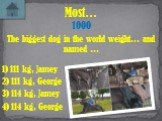 The biggest dog in the world weight… and named …. Most… 1000 1) 111 kg, Jamey 2) 111 kg, George 4) 114 kg, George 3) 114 kg, Jamey