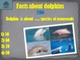 Dolphin is about ... species of mammals. Facts about dolphins 200 1) 50 3) 70 4) 80 2) 60