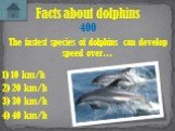 The fastest species of dolphins can develop speed over…. Facts about dolphins 400 1) 10 km/h 3) 30 km/h 4) 40 km/h 2) 20 km/h