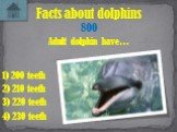 Adult dolphin have… Facts about dolphins 800 3) 220 teeth 2) 210 teeth 4) 230 teeth 1) 200 teeth