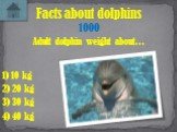 Adult dolphin weight about… Facts about dolphins 1000 2) 20 kg 3) 30 kg 4) 40 kg 1) 10 kg