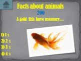A gold fish have memory… Facts about animals 200 1) 1 s 3) 3 s 4) 4 s 2) 2 s