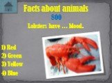 Lobsters have … blood. Facts about animals 800 1) Red 4) Blue 3) Yellow 2) Green
