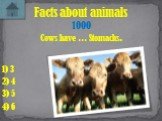Cows have … Stomachs. Facts about animals 1000 1) 3 2) 4 3) 5 4) 6