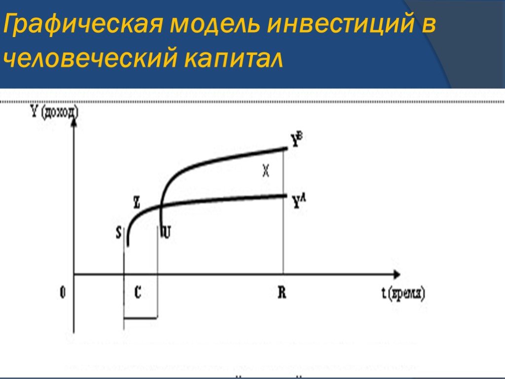 Инвестиции в человеческий капитал. Модель инвестиций в человеческий капитал. Графическая модель инвестиций.