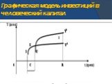 Графическая модель инвестиций в человеческий капитал. Рис