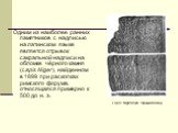 Одним из наиболее ранних памятников с надписью на латинском языке является отрывок сакральной надписи на обломке чёрного камня (Lapis Niger), найденном в 1899 при раскопках римского форума, относящаяся примерно к 500 до н. э. Lapis Niger (букв. Черный камень).
