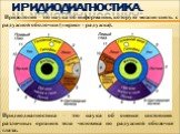 Иридиодиагностика. Иридиодиагностика – это наука об оценке состояния различных органов тела человека по радужной оболочке глаза. Иридология – это наука об информации, которую можно снять с радужной оболочки («ирис» - радужка).