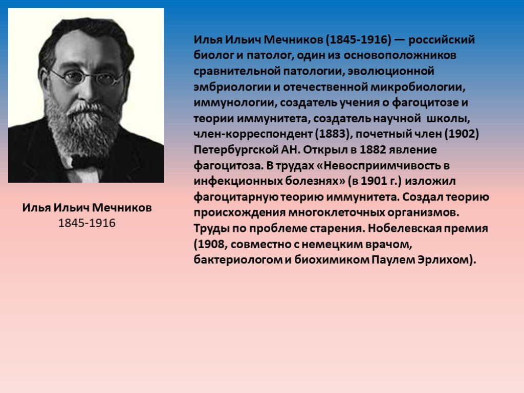 Что открыл мечников в биологии. Мечников и.и. (1845-1916). И. И. Мечникова (1845— 1916)..