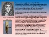 Антони ван Левенгук 1632-1723. Антони ван Левенгук (Leeuwenhoek) (1632-1723) - нидерландский натуралист, один из основоположников научной микроскопии. Изготовив линзы с 150-300-кратным увеличением, впервые наблюдал и зарисовал (публикации с 1673) ряд простейших, сперматозоиды, бактерии, эритроциты и