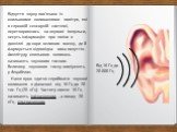 Відчуття звуку пов'язане із хвильовими коливаннями повітря, які в слуховій сенсорній системі, перетворившись на нервові імпульси, несуть інформацію про зміни в довкіллі до кори великого мозку, де й формується відповідна гама почуттів. Амплітуду хвильових коливань називають звуковим тиском. Величину 