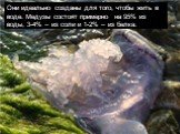 Они идеально созданы для того, чтобы жить в воде. Медузы состоят примерно на 95% из воды, 3-4% – из соли и 1-2% – из белка.