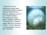 У берегов Японии небывалое нашествие гигантских ядовитых медуз. Они достигают более метра в диаметре и весят до 150 килограммов. Последний раз медуз такого размера видели в Японии более полувека назад. Местные рыбаки в панике - яд этих морских чудовищ крайне опасен для человека.