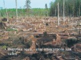 Вырубка леса – еще одна угроза для тайги