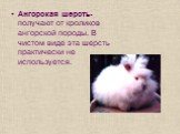 Ангорская шерсть- получают от кроликов ангорской породы. В чистом виде эта шерсть практически не используется.