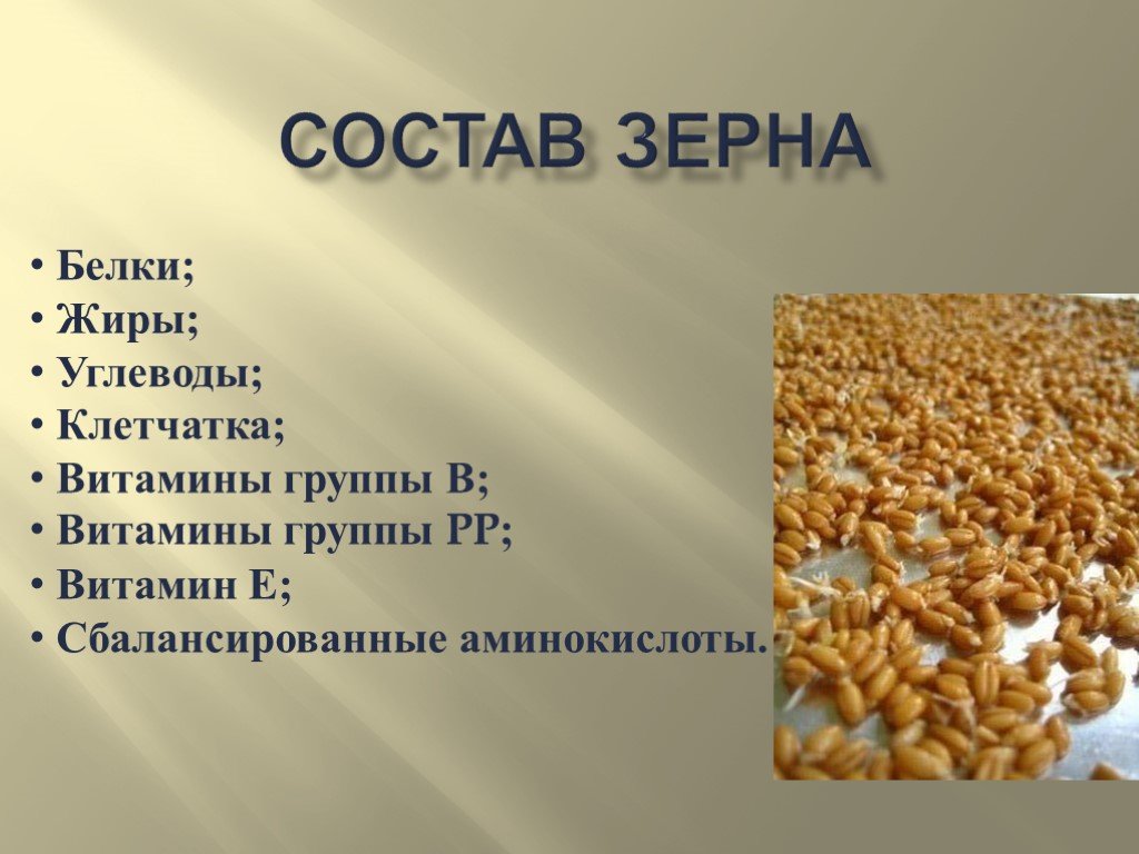 Состав белков пшеницы