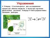 4. Углерод -14 используется для исследования процессов обмена веществ, а также при изучении фотосинтеза растений. Углерод-14 бета-радиоактивен. Запишите реакцию.