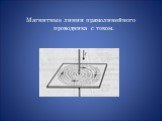 Магнитные линии прямолинейного проводника с током.