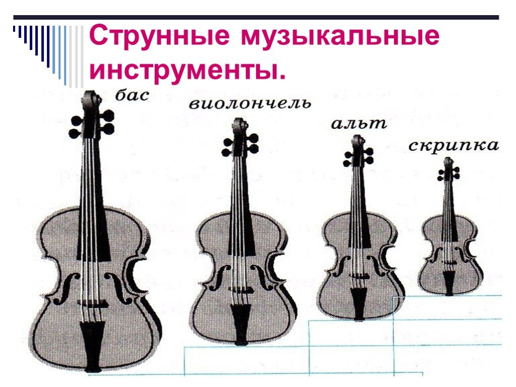 Виды скрипичных. Струнные смычковые инструменты Альт. Альт струнные смычковые музыкальные инструменты. Струнно-смычковые: скрипки, альты, виолончели, контрабасы.. Скрипка струнно смычковый инструмент.