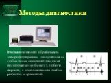 Методы диагностики. DenScan позволяет обрабатывать электрофореграммы, полученные на любых типах носителей (включая фильтровальную бумагу), любого формата, с использованием любых реагентов и красителей.