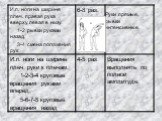 Руки прямые, рывки интенсивные.