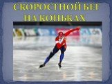 СКОРОСТНОЙ БЕГ НА КОНЬКАХ