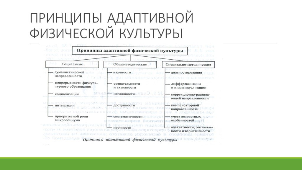 Принципы системы физического