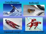 Сноубордин Бобслей Санный спорт. Конькобежный спорт