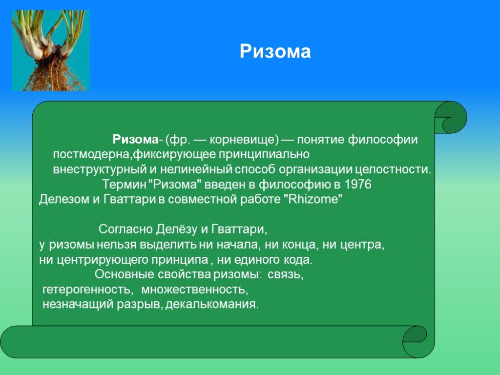 Ризома. Ризома в философии. Ризома в философии постмодернизма это. Ризома философский термин. Ризома в культурологии.