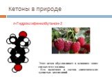 n-Гидроксифенилбутанон-2. Этот кетон обуславливает в основном запах спелых ягод малины. Его включают в состав синтетических душистых композиций
